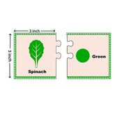 Colour Matching Puzzle-Easy Level - EKW0155